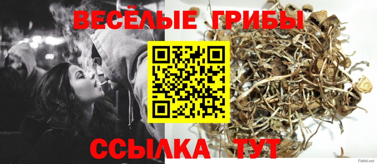 Павловский Посад  сколько стоит  Вход с VPN  Галлюциногенные грибы GOLDEN TEACHER 